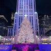 ［2021-2022］ロックフェラーセンターのクリスマスツリーをもう一度🎄