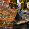 下鴨神社・河合神社