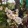 自分の感性を信じること。それは難しいが面白いこと。