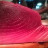 メバチマグロのお話です！
