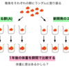 今回は因果関係があるのに相関関係が見られない4つのケースをまとめてみた（前編：検定力が低い）