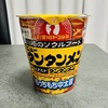【第二回】ニュータンタンメンのカップ麺を食べた