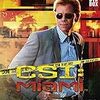 DAVID CARUSO as Horatio Caine