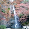 箕面大滝の紅葉　大阪府　箕面市