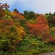 紅葉はじまる・・・（磐梯吾妻スカイライン）