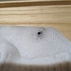 親子で同じ