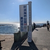 自然の水族館！？かつうら海中公園海中展望塔 レビュー！絶景スポットを徹底解説