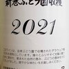 酔い潰れ注意！・・・「山梨特産デラウェア種 新巻ぶどう園収穫 2021」