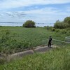 アサザ保全がきっかけで外来種に覆われてしまった霞ヶ浦