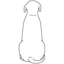 さくらのソーシャルワーク日記