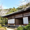 【京都】『知恩院』に行ってきました。 京都桜 京都観光 京都旅行 女子旅 