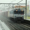 強い雨が降る中　EF65-1075号機と