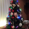 洋書の森のクリスマス会