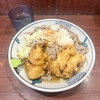 そば処　やしま　その六　〜肉そば・肉南蛮そばを極めてみる　その百四十二〜
