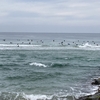 湘南ではなく京都の海。