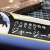 育休16日目　真っ暗作戦成功