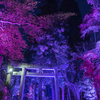 大瀧神社