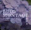 BUDS MONTAGE