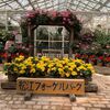 鳥と花の楽園：松江フォーゲルパーク体験記