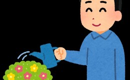 記事を見る