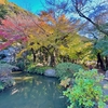 椎尾山薬王院の弁天池（仮称）（茨城県桜川）
