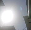 晴れ☀　家の中でごそごそ^_^;