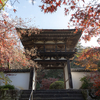 紅葉見納めの奈良県長岳寺へ。古刹巡りの旅