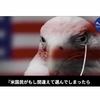 アメリカの良心は泣いている