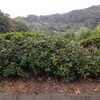 坂の上の初めての4回目