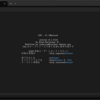Windows TerminalでWindows Vimを使うと色がおかしくなる時の修正方法