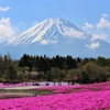 GW富士山見える日帰りバーベキュースポット！