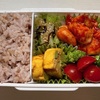 【お弁当】初めてお弁当箱を選んでもらう！