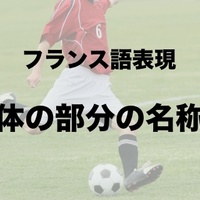 体の部分 顔の部分の名称 フランス語 中高年からのフランス語