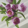 お花。