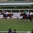 ハルトの競馬ライフ