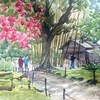 中区　春の三渓園の木漏れ日と蓮華院