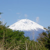 足柄峠からの富士山富士山