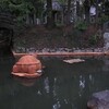 神社の池の亀を眺める散歩。