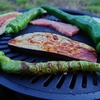 贅沢！畑の前で食べる焼野菜