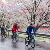 「江の川桜サイクリング2022」エントリー開始しました。