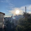 きなこ、駄弁る