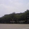 授業参観。