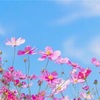昼間は蒸し暑い