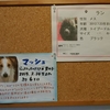 保護犬カフェ堺店　2019.4.4
