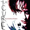 The Cure