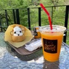 aqua base cafe（鹿児島県肝属郡南大隅町）〜この地、いいところ