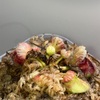 セファロタス成長記録=2026/6月25日 #食虫植物 #セファロタス #icos #著作権無料 #BGM