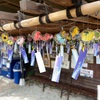 【お写んぽ】【ソロ活】水無瀬神宮。風鈴と風車の広場