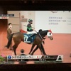 ラヴズオンリーユー　香港エリザベスC優勝❗️