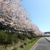 ４月１４日　帰省・・・ちょこっと花見